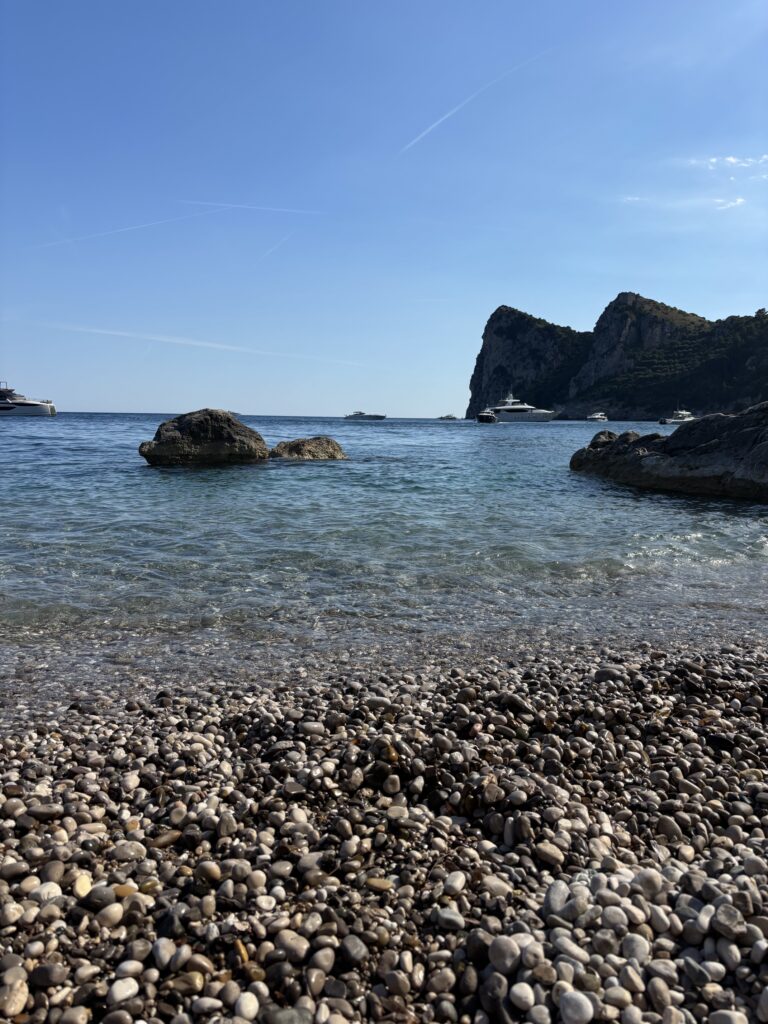 img 1254 (1)